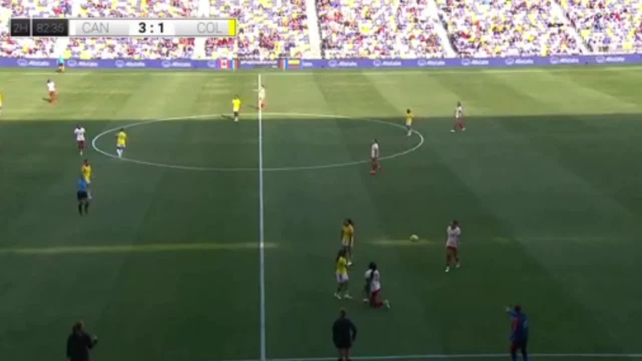 zaslepka skrotu video