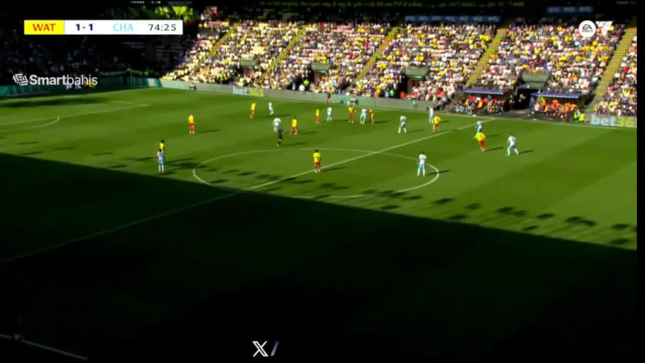 zaslepka skrotu video