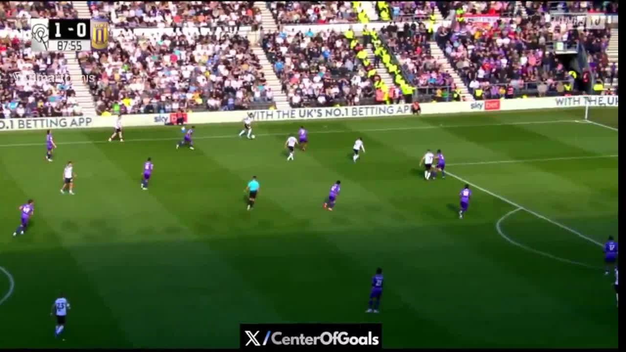 zaslepka skrotu video