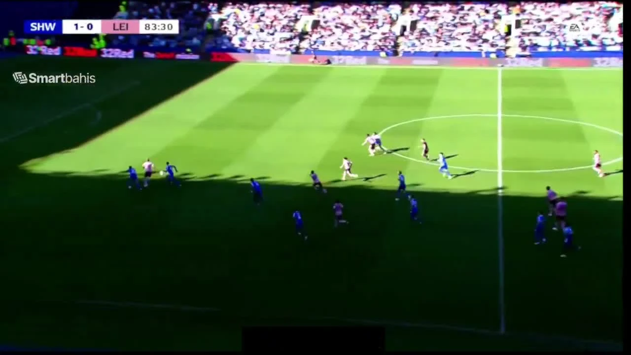 zaslepka skrotu video