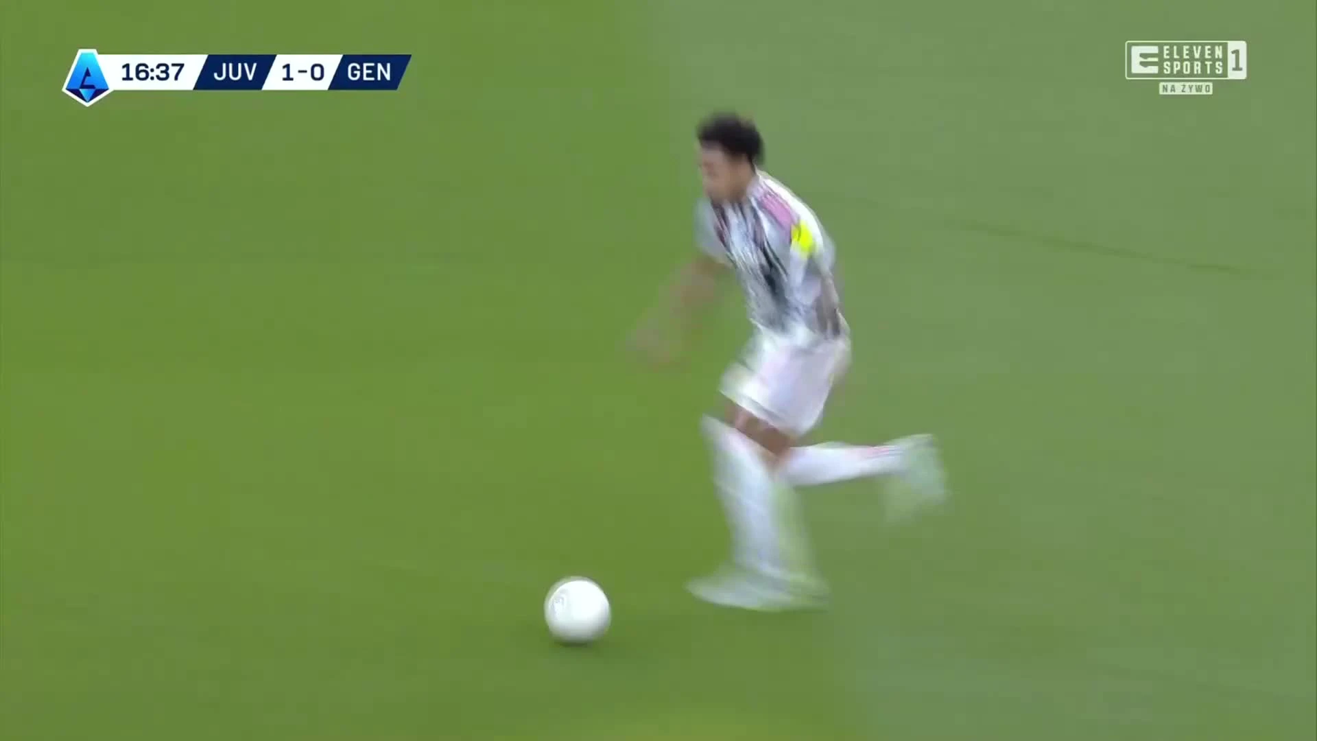 zaslepka skrotu video