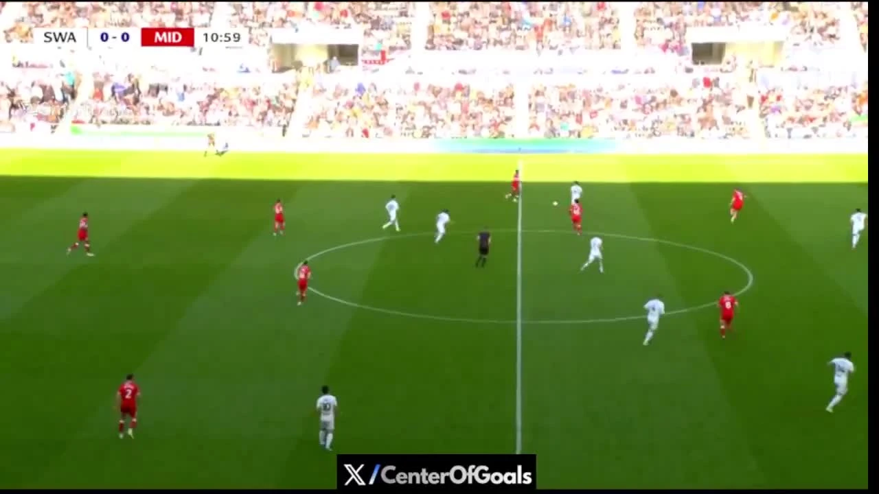 zaslepka skrotu video