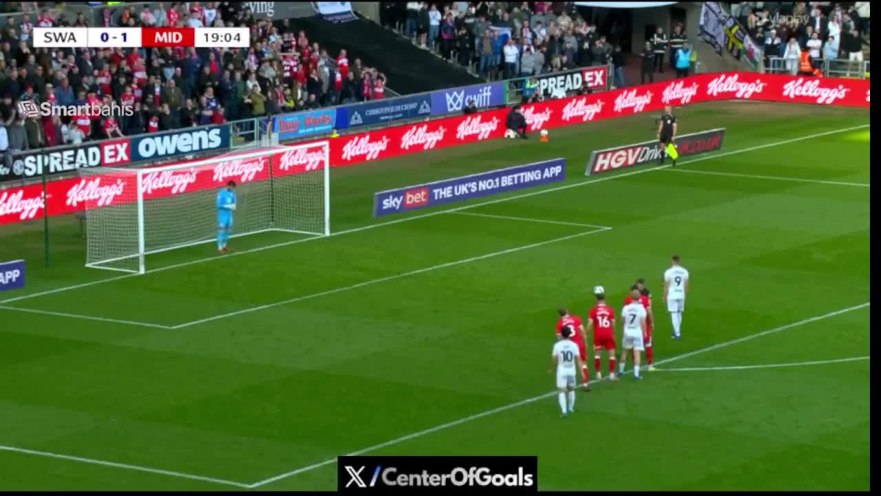 zaslepka skrotu video