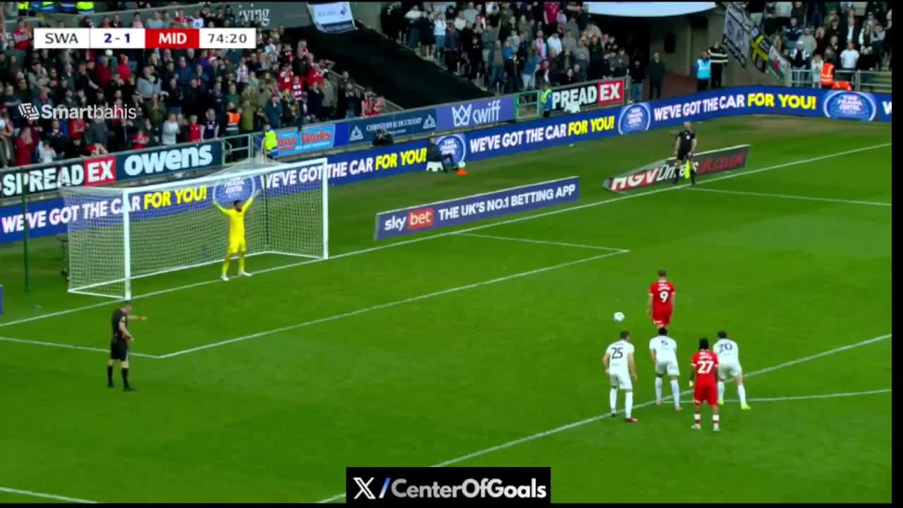 zaslepka skrotu video