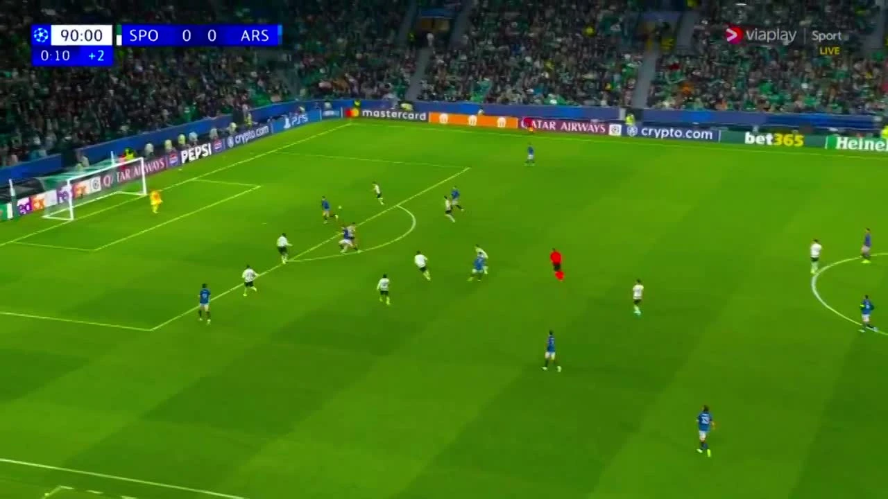 zaslepka skrotu video