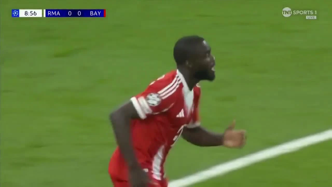 zaslepka skrotu video