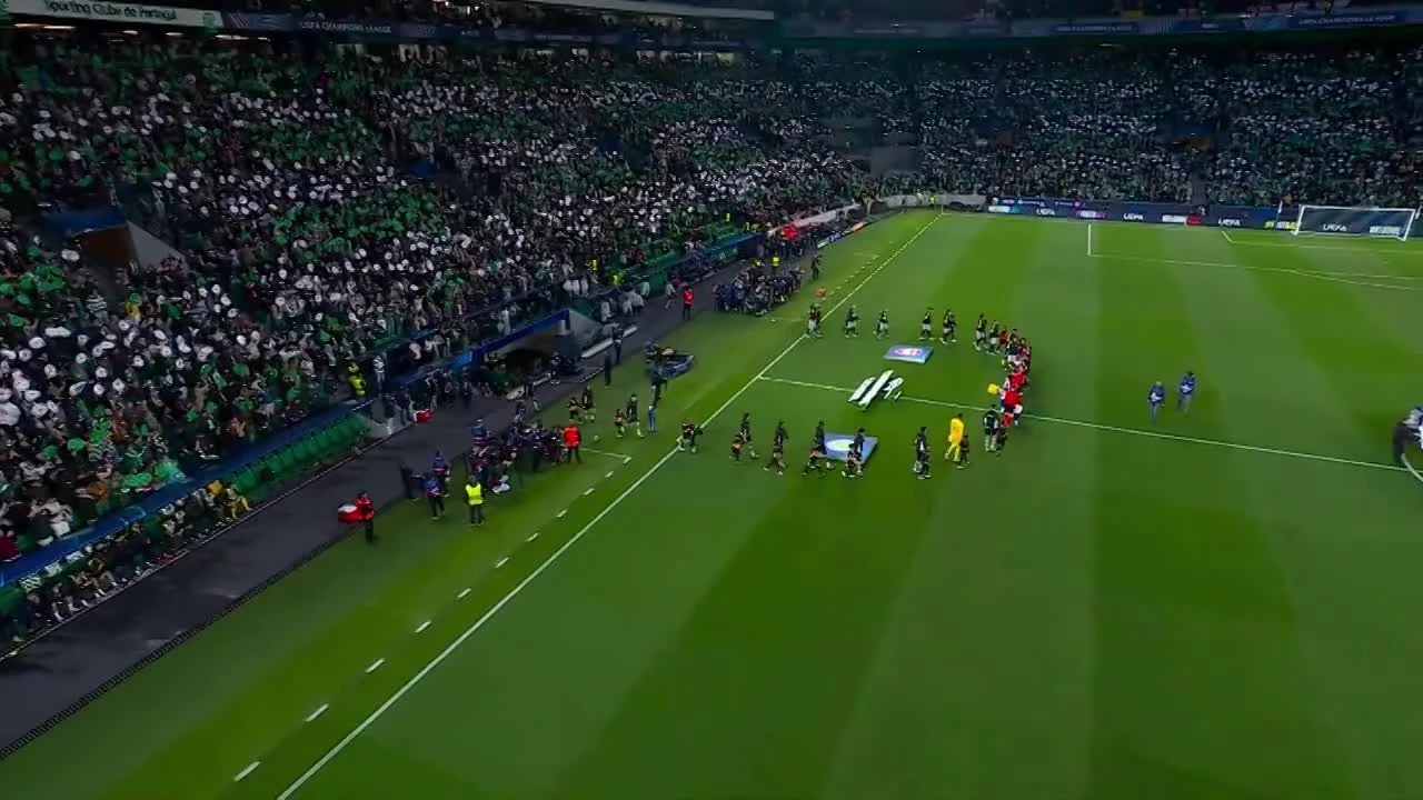 zaslepka skrotu video