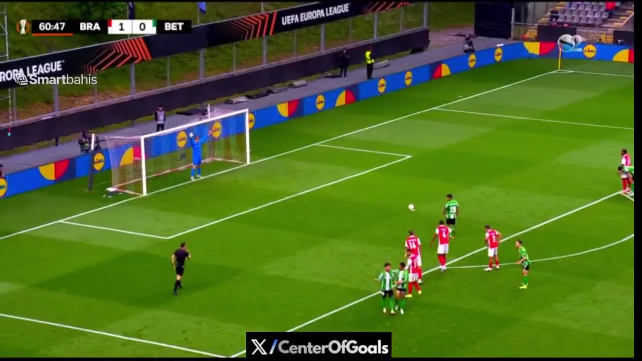 zaslepka skrotu video