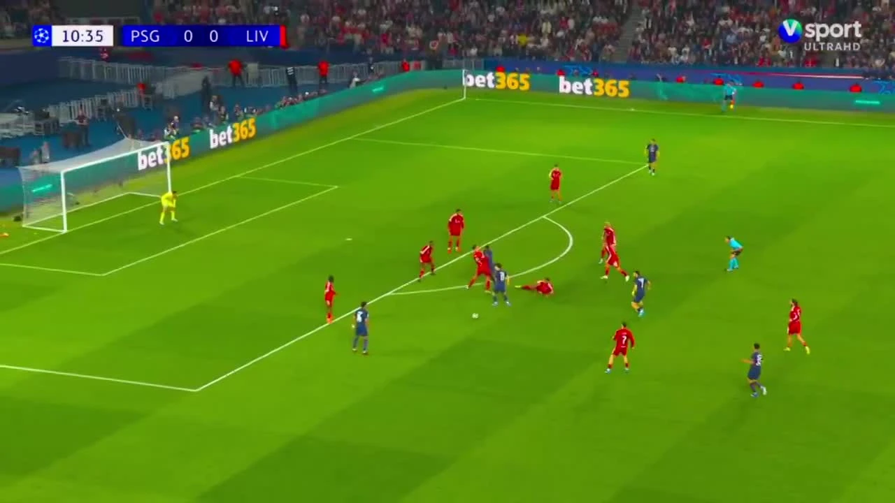 zaslepka skrotu video