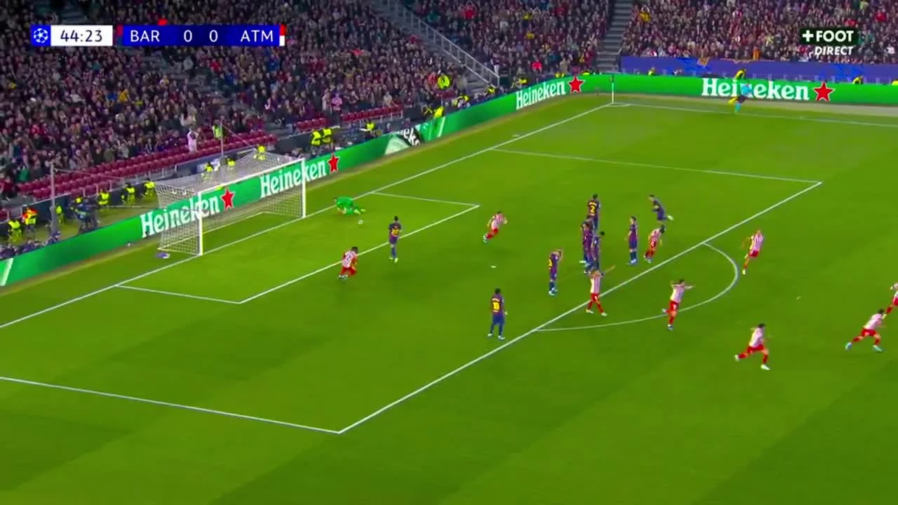 zaslepka skrotu video