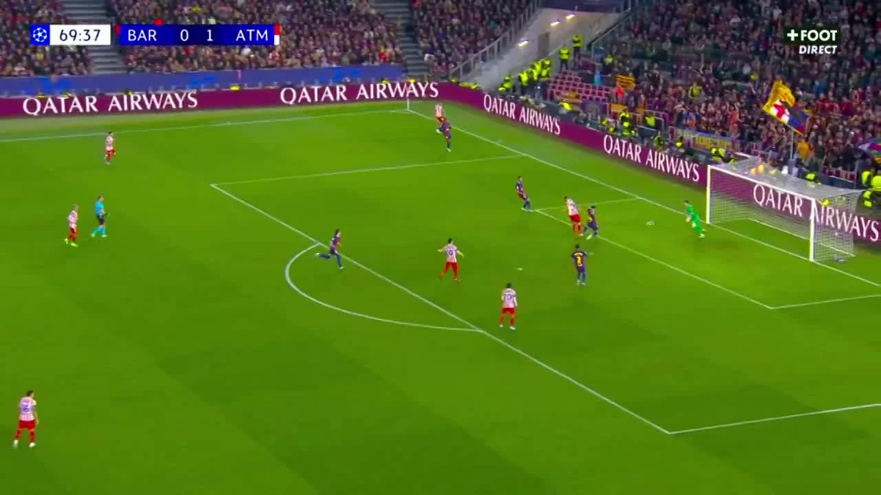 zaslepka skrotu video