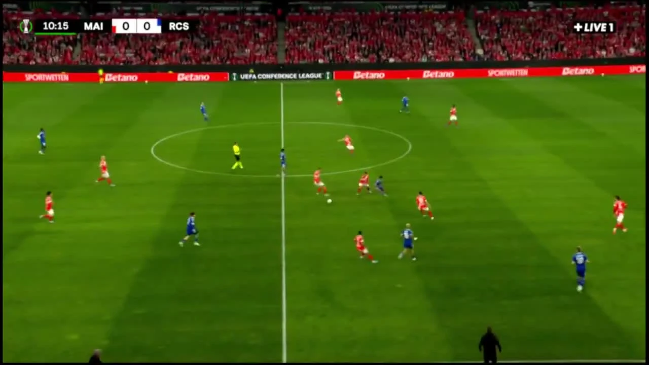 zaslepka skrotu video