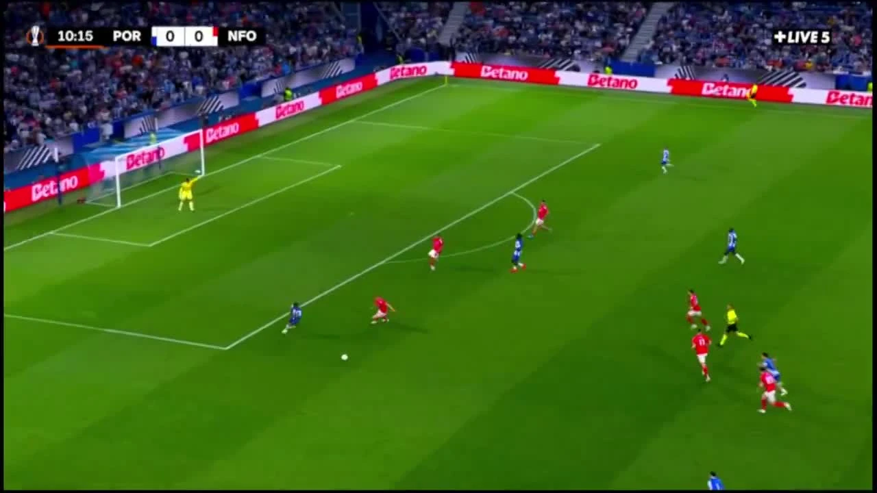 zaslepka skrotu video