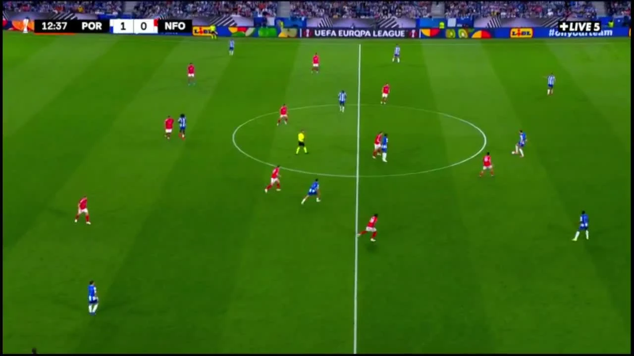 zaslepka skrotu video