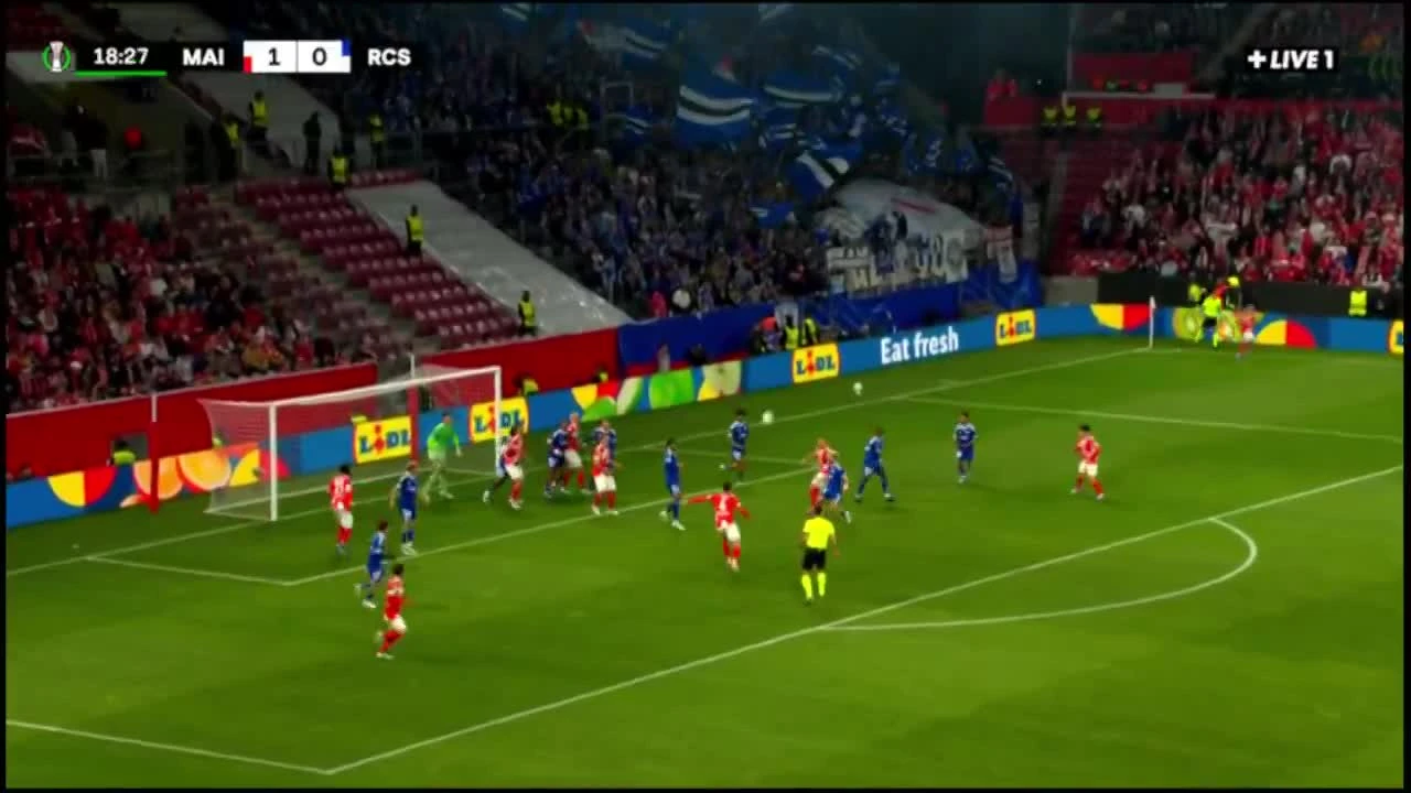 zaslepka skrotu video