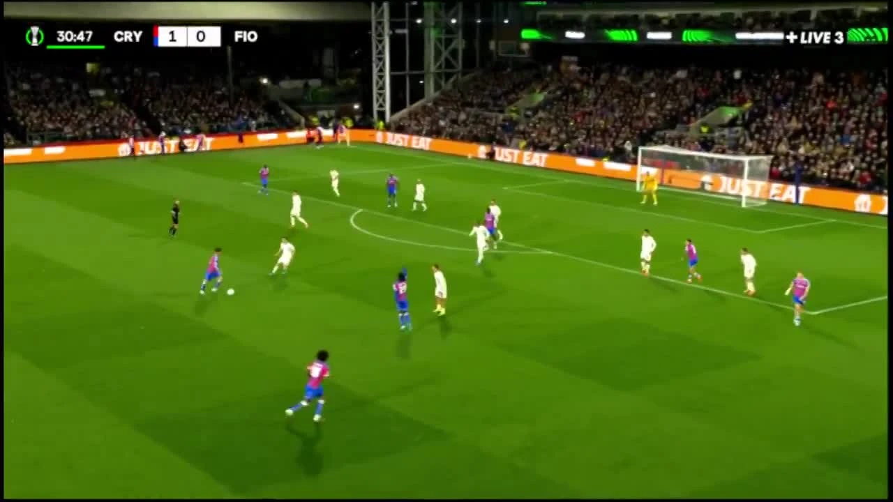 zaslepka skrotu video