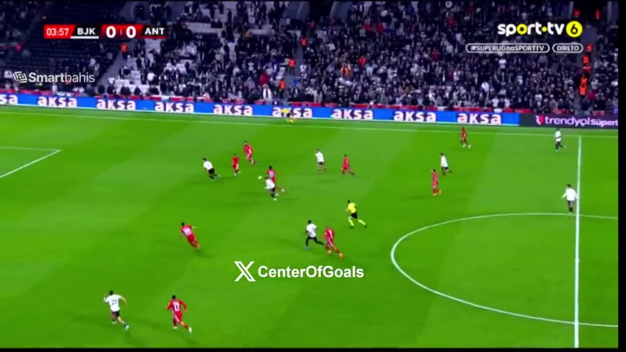 zaslepka skrotu video