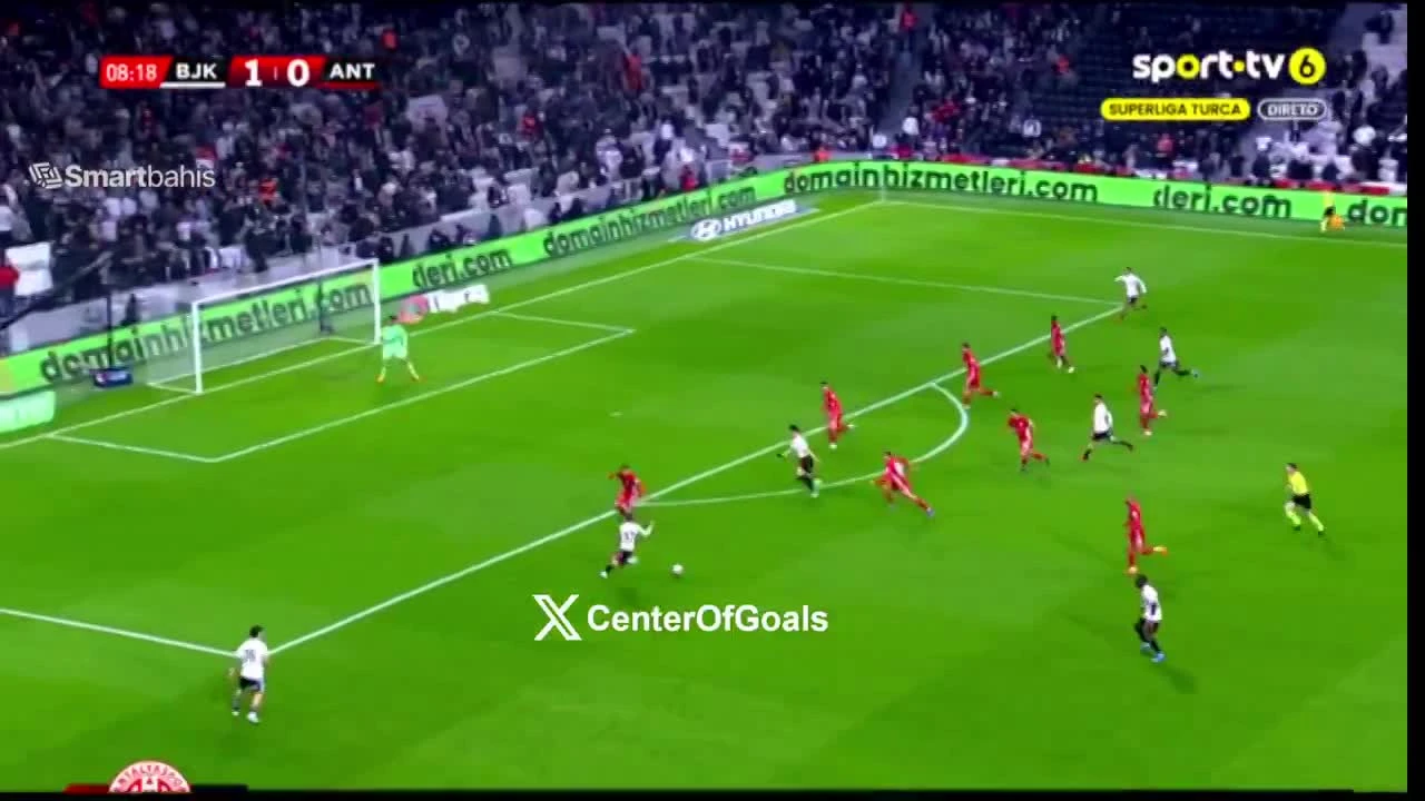 zaslepka skrotu video