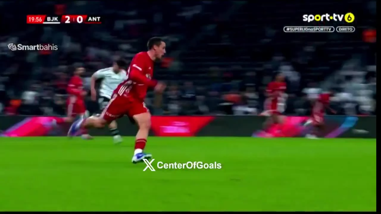 zaslepka skrotu video