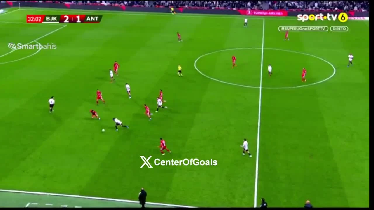 zaslepka skrotu video