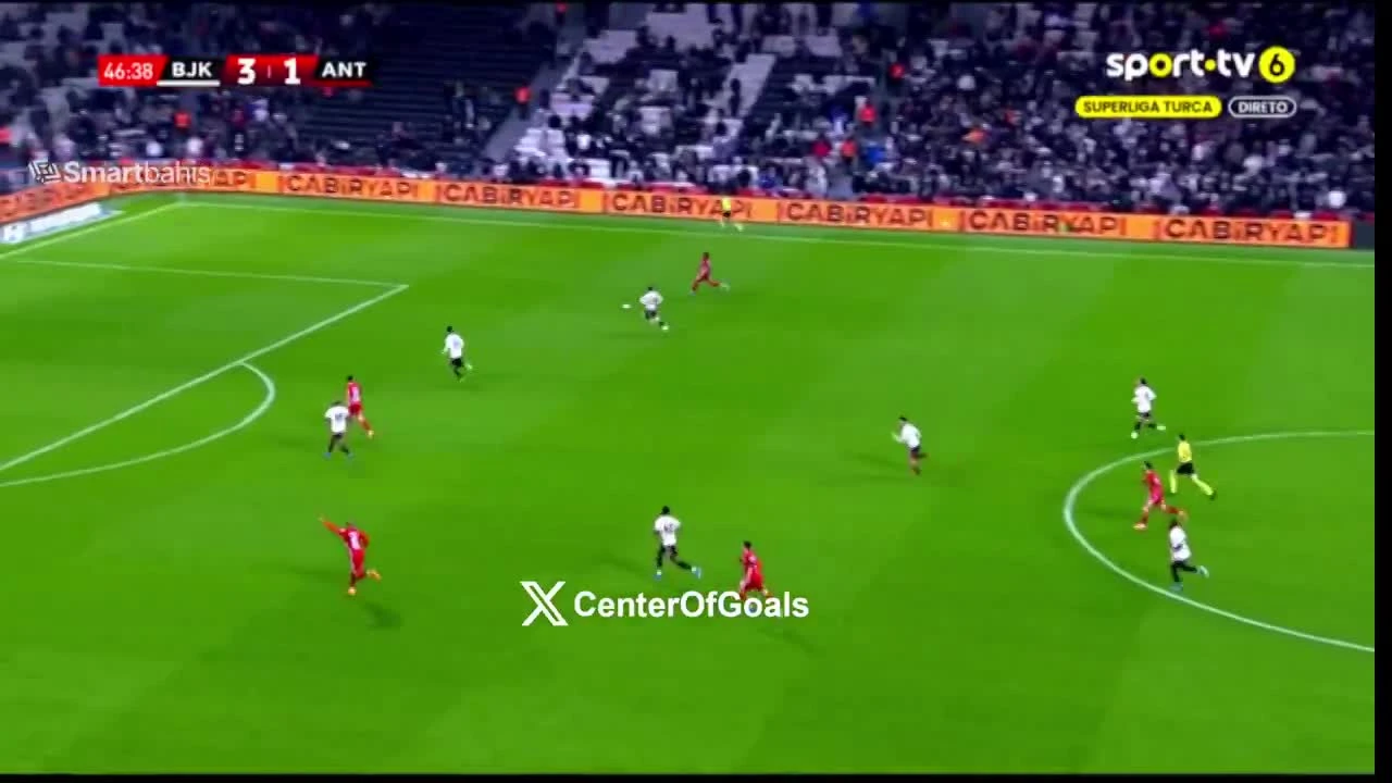 zaslepka skrotu video