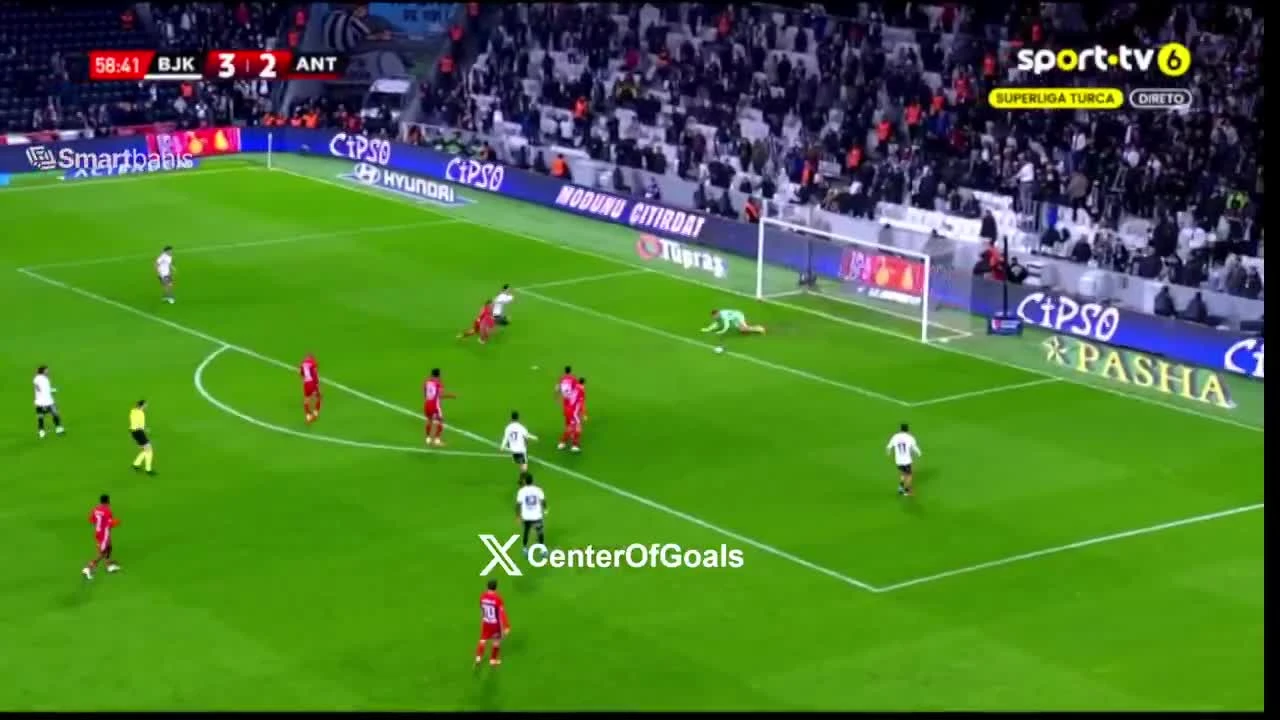 zaslepka skrotu video