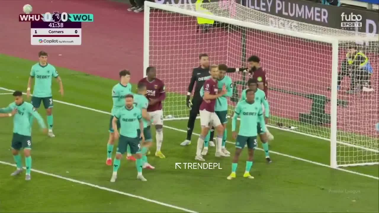 zaslepka skrotu video