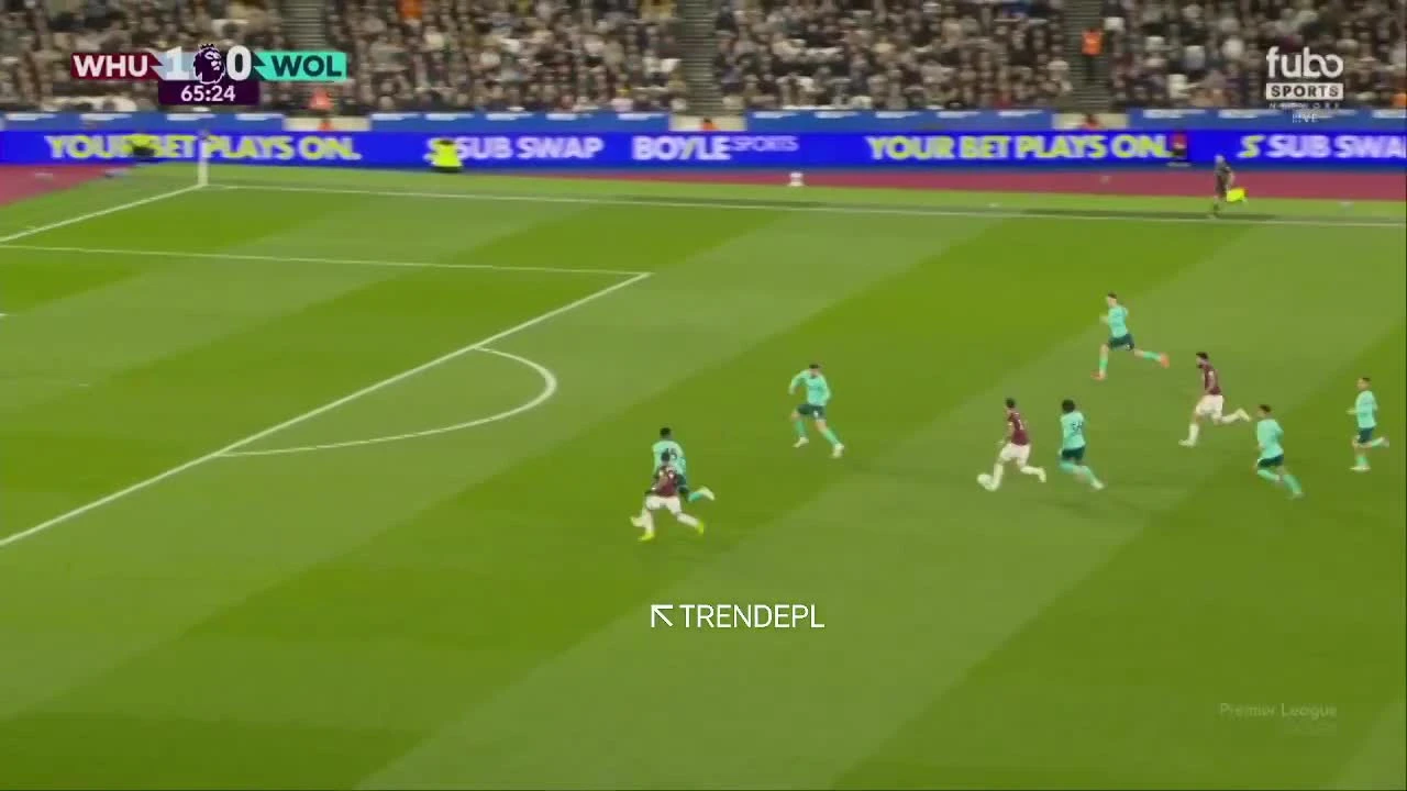 zaslepka skrotu video