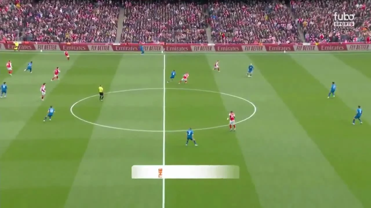 zaslepka skrotu video