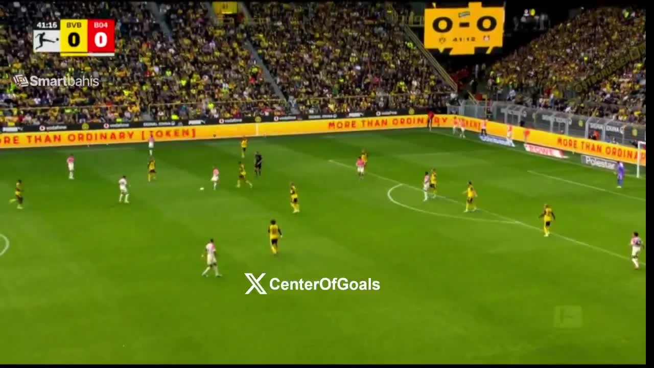 zaslepka skrotu video