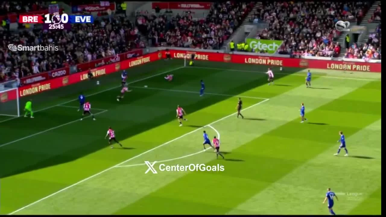 zaslepka skrotu video