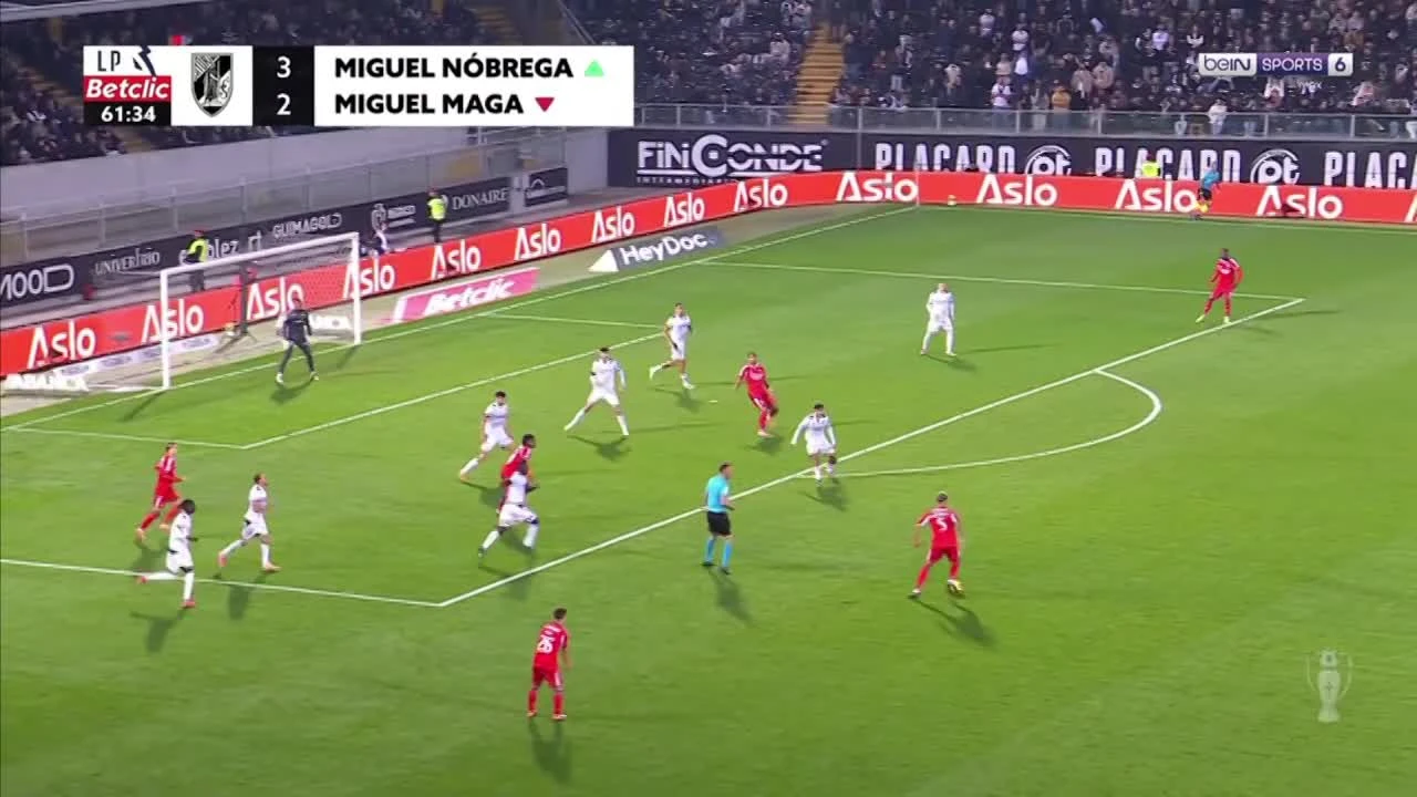 zaslepka skrotu video