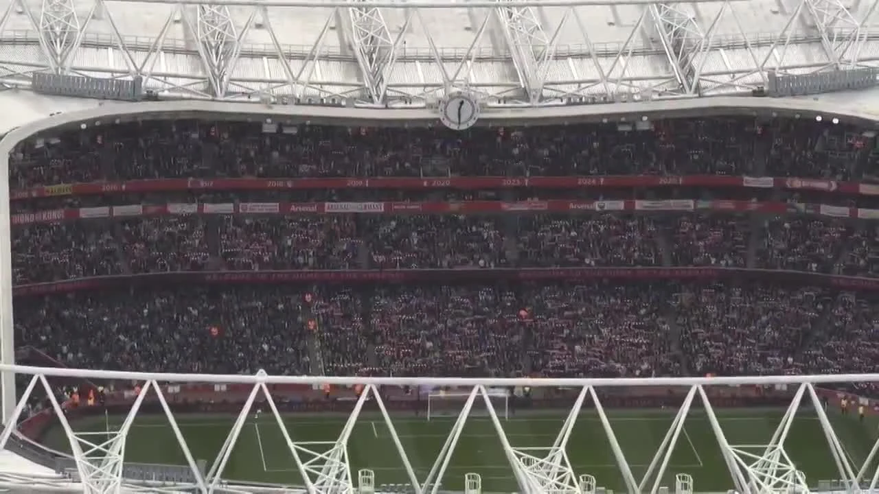 zaslepka skrotu video