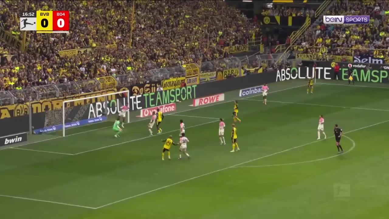 zaslepka skrotu video