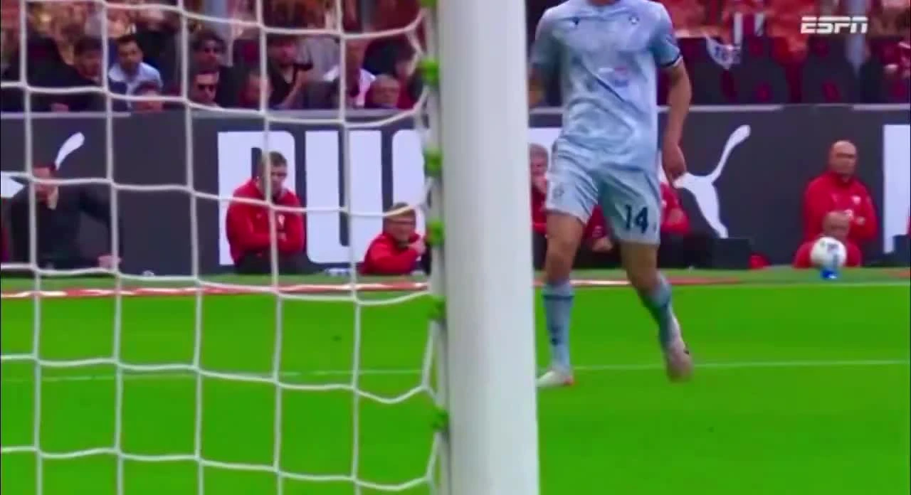 zaslepka skrotu video