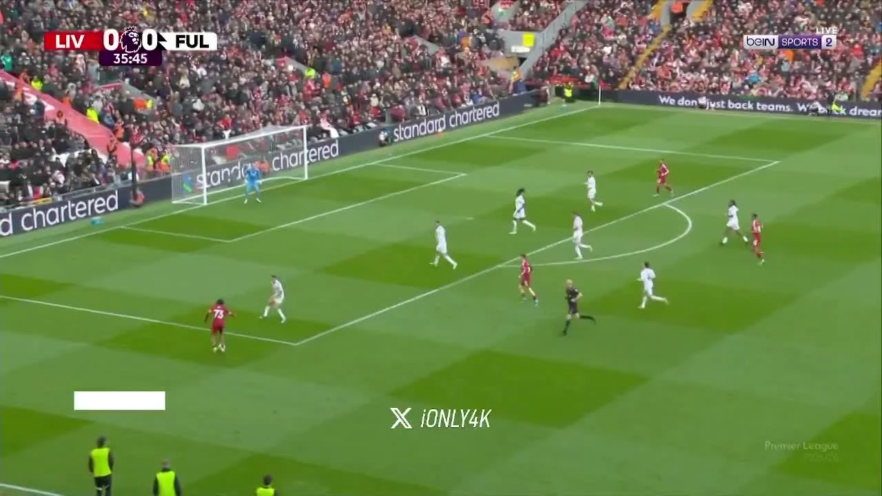 zaslepka skrotu video