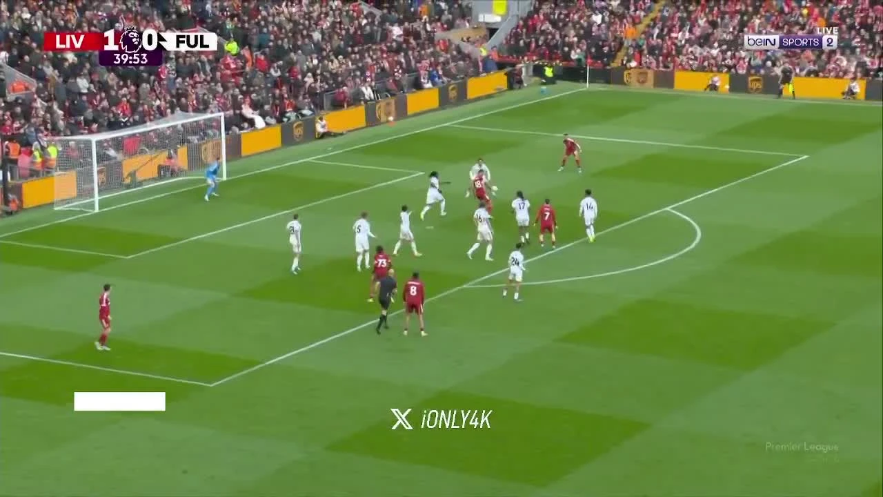 zaslepka skrotu video