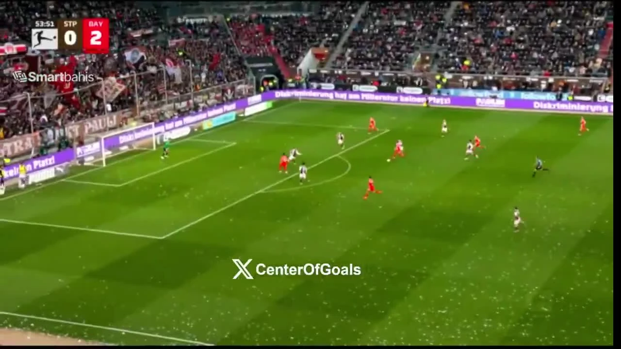 zaslepka skrotu video