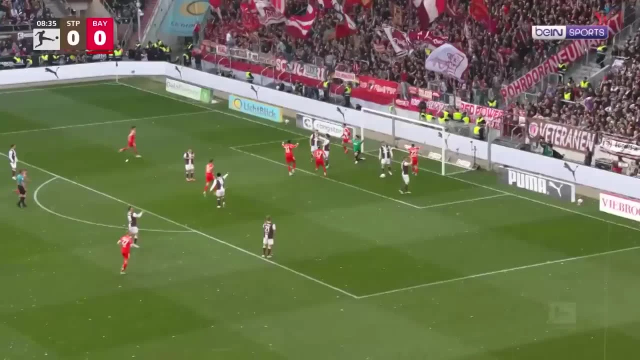 zaslepka skrotu video