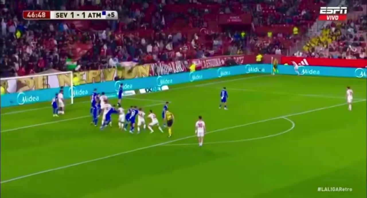 zaslepka skrotu video