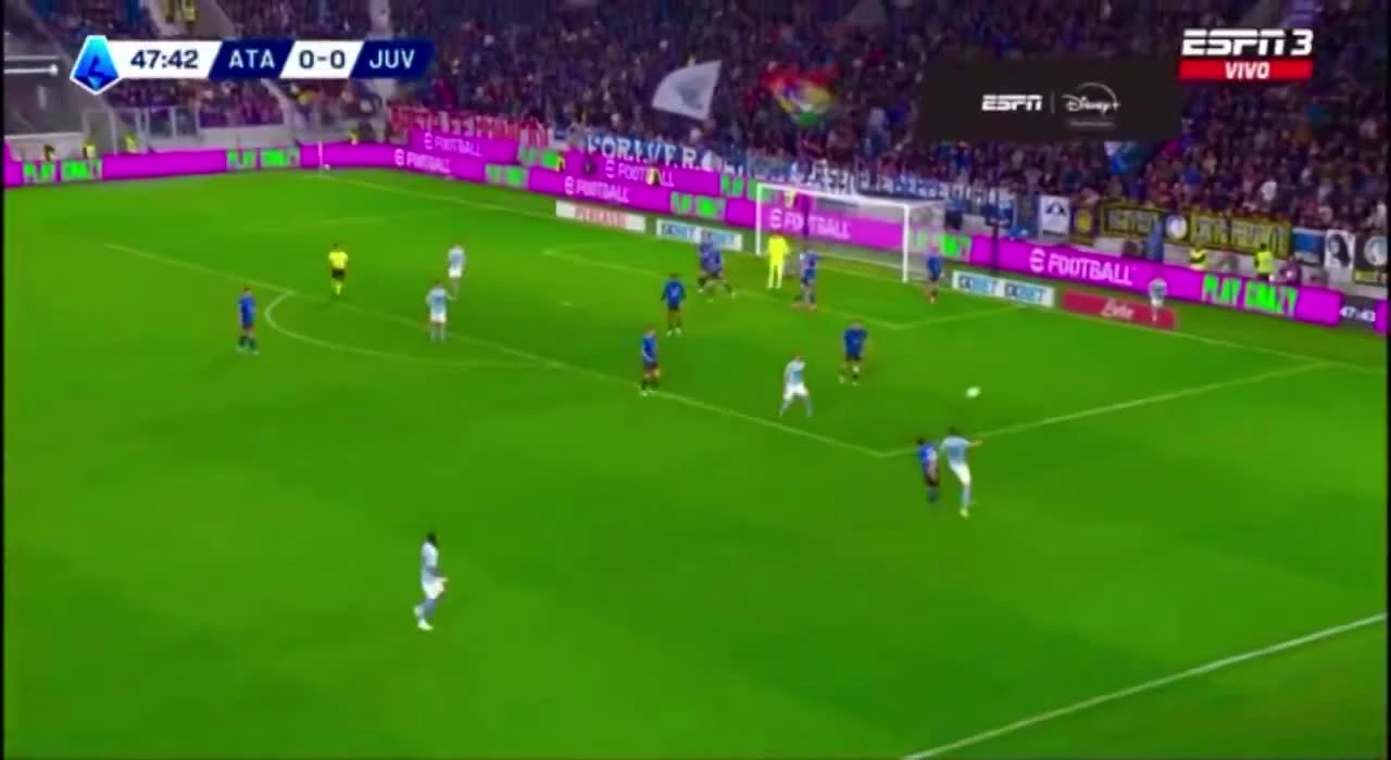 zaslepka skrotu video