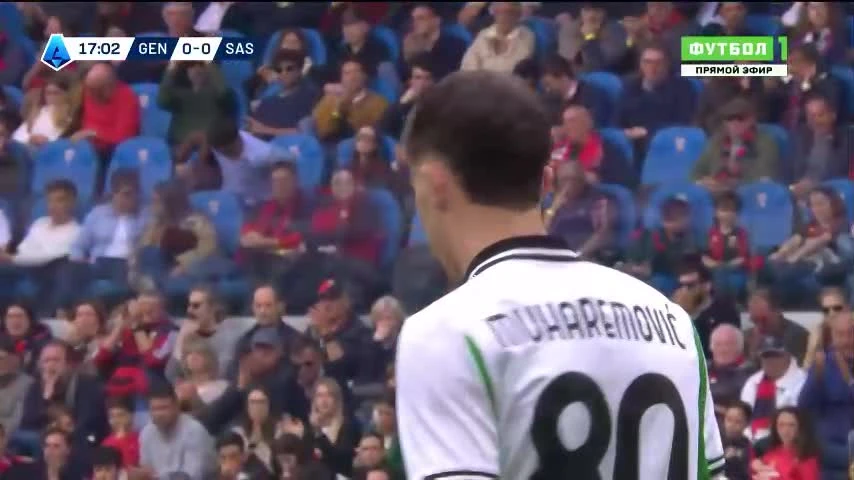 zaslepka skrotu video