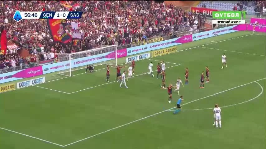 zaslepka skrotu video