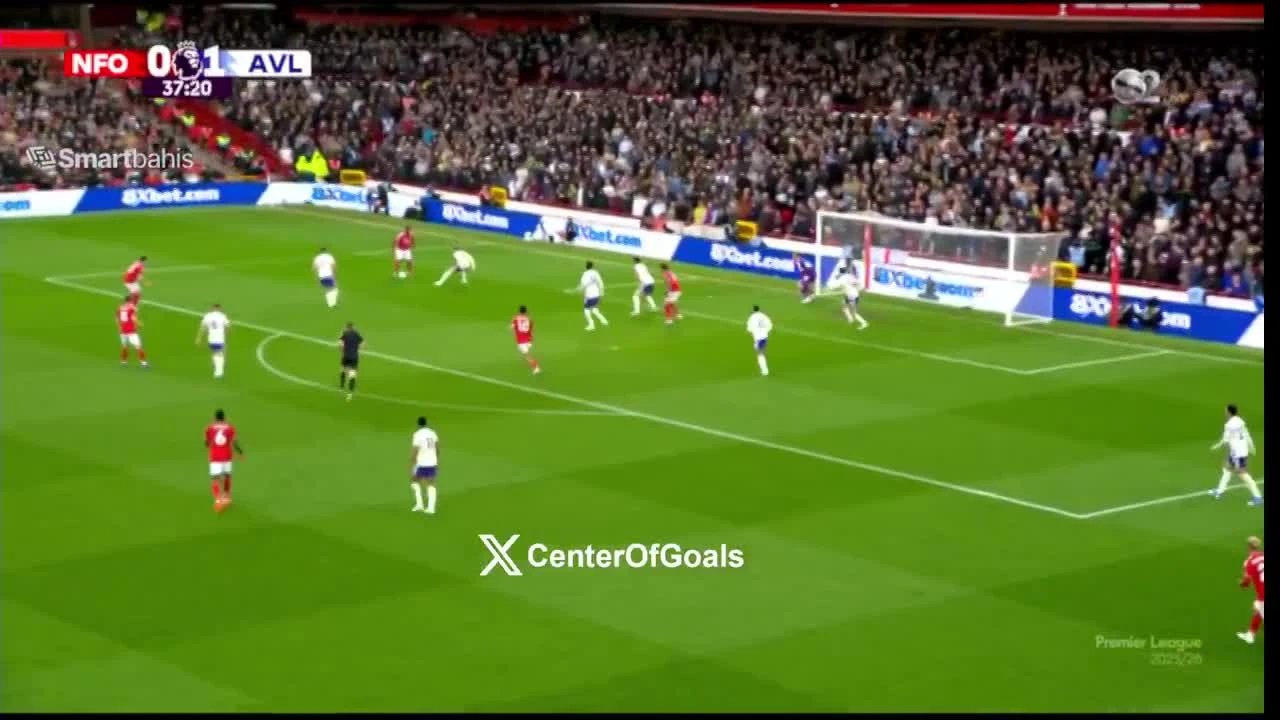 zaslepka skrotu video