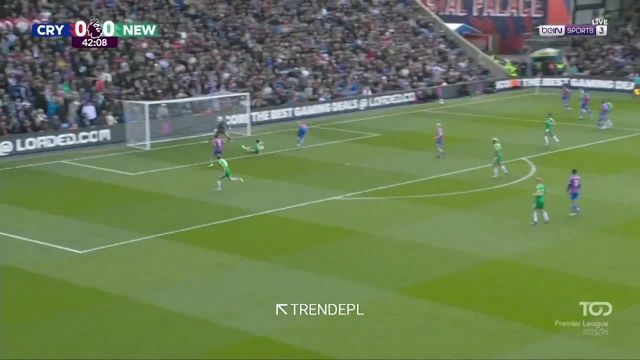 zaslepka skrotu video