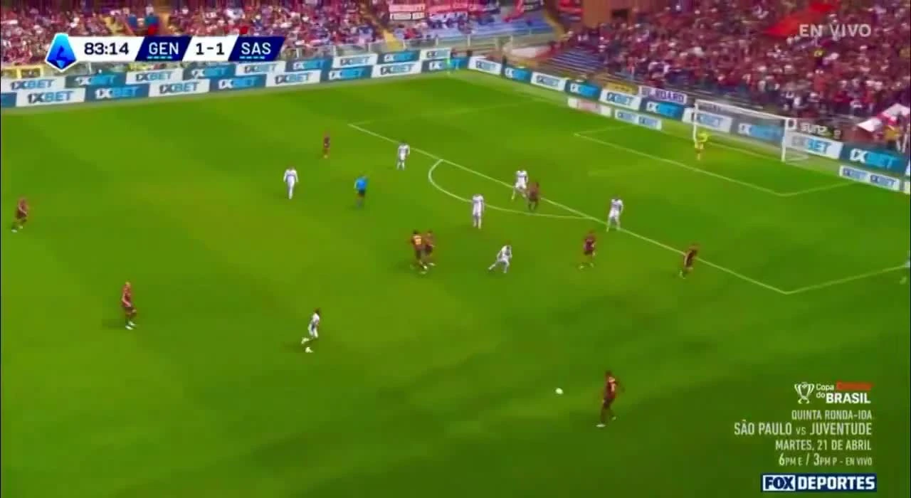 zaslepka skrotu video