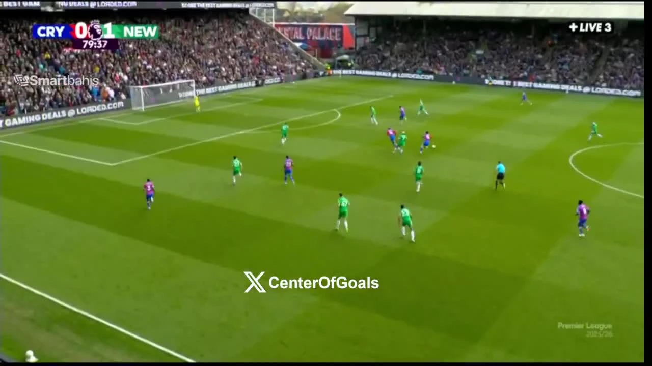 zaslepka skrotu video