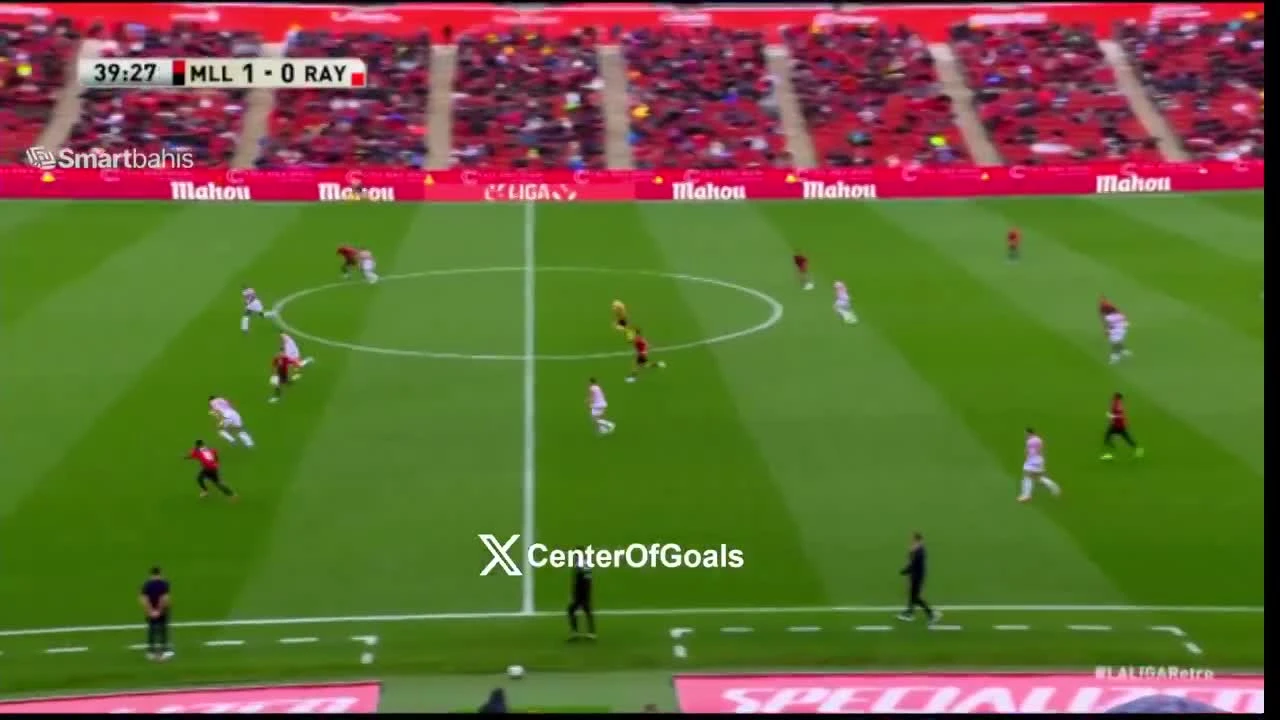 zaslepka skrotu video