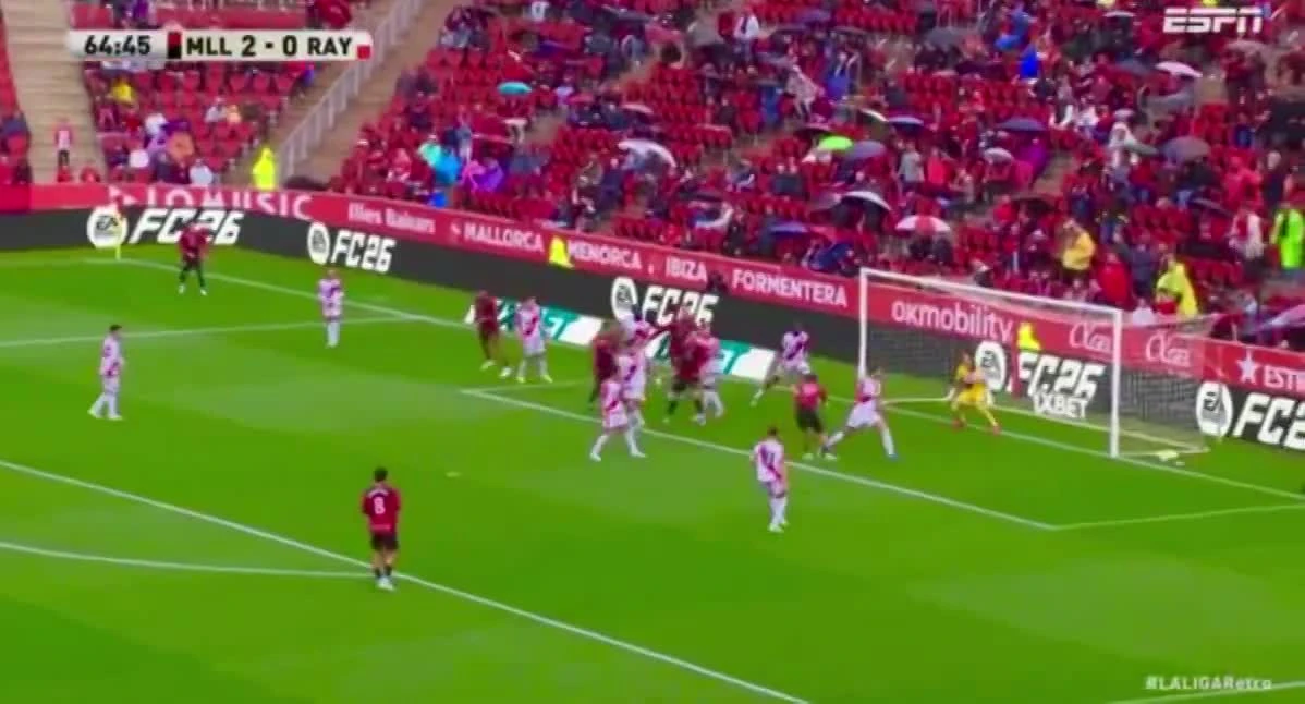 zaslepka skrotu video