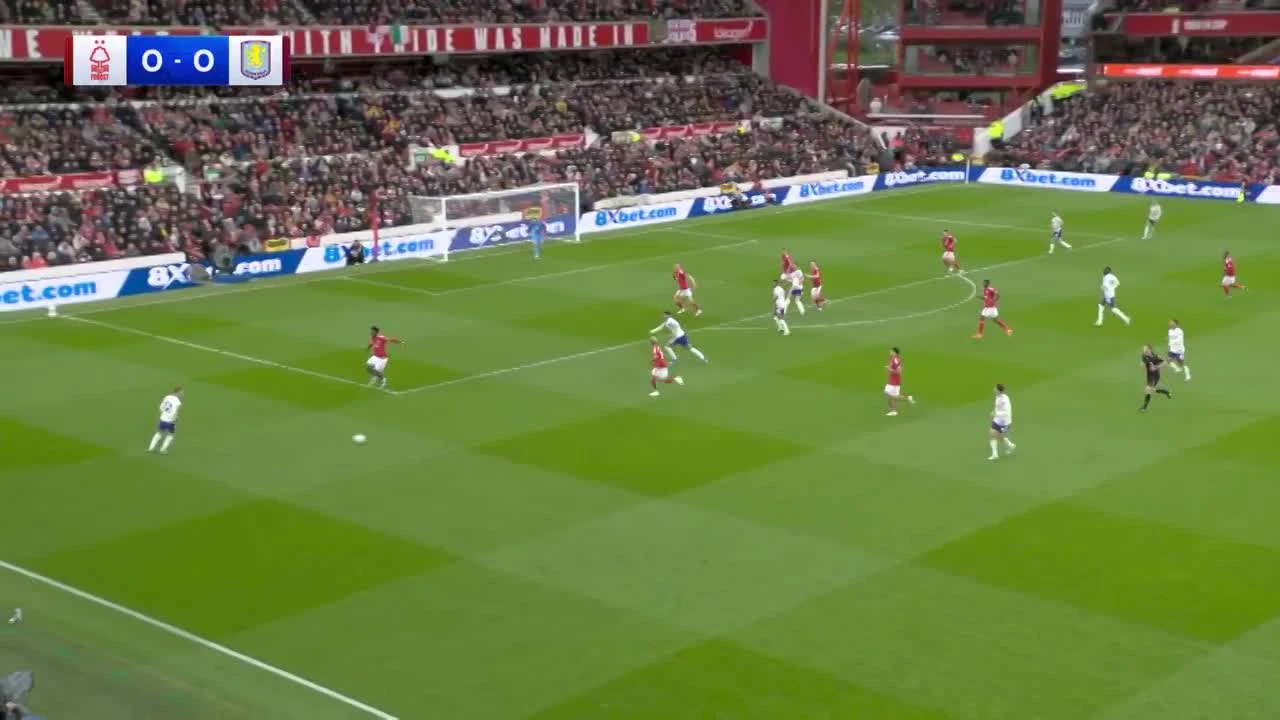 zaslepka skrotu video